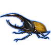 Beetle: Dynastes hercules [Yellow]