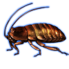 Beetle Nemesis: Ellipt...