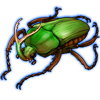 Beetle: Eudicella gralli [Green]