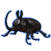 Beetle: Eupatorus birmanicus [Black]