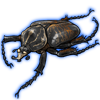 Beetle: Goliathus goliatus [Dark]
