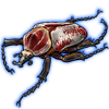 Beetle: Goliathus goliatus [Red]