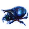 Beetle: Heliocopris hunteri [Opalescent]
