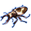 Beetle: Homoderus gladiator [Piebald]
