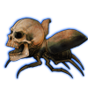 Beetle: Homunculus [Rust]