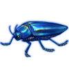 Beetle: Jewel Beetle [Blue]