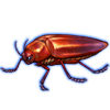 Beetle: Jewel Beetle [Red]