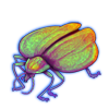 Beetle: Lycus trabeatus [Opalescent]