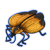 Beetle: Lycus trabeatus [Yellow]
