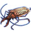 beetlemacrodontiacervicorniscream.png