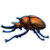 Beetle: Megasoma elephas [Orange]