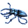Beetle: Prosopocoilus savagei [Blue]