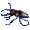 Beetle: Prosopocoilus savagei [Charred]
