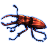 Beetle: Prosopocoilus savagei [Red]