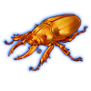 Beetle: Scarabaeus aureus [Fire Gold]