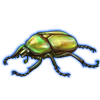 Beetle: Smaragdesthes africana [Yellow]