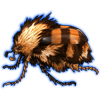 Beetle: Sparmannia flava [Harlequin]