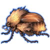 Beetle: Sparmannia flava [Satin]