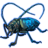 Beetle: Sternotomis strandi [Blue]