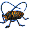 Beetle: Sternotomis strandi [Orange]