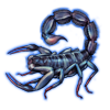 Beetle Nemesis: Parabuthus transvaalicus [Iridescent]