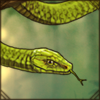 Green Mamba