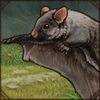 Look, a flying squirrel! Technically it's gliding, but you don't have to tell the cubs that.