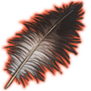 Ostrich Feather Decor