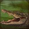 RestingCrocodile.png