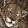 THsnugglinglionesspanther.png