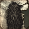 Fluffy Aardwolf Tail