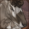What impressive horns! They range from 55 cm to 85 cm, and these antelopes are critically endangered due to overhunting.