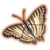 africanmapbutterfly.png