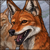 Will you adopt this majestic canine into your den? Its beautiful red coat shines like the setting sun. One of the world's rarest canids will grow with your lion.