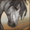 andalusianhorse.png