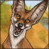 arabianredfox.png