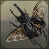 Crafted Beetle: Augosoma Centaurus  [Black]
