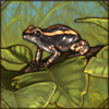 bandedrubberfrog.png
