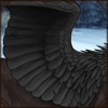 Black Sphinx Wings [Top]
