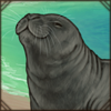 [GE - Andalusia] Mediterranean Monk Seal Cub