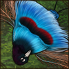 An extravagant, flashy bird friend to bring a little dramatic flair to your den! Part of Bornean theme set.
