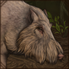 In a competition for best facial hair, this pig would give any lion with a mane a run for its money. Part of Bornean theme set.