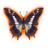 You can find this emperor in dry savannahs and deciduous woodlands throughout Africa.