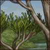 Tread carefully around this tree; it produces a toxic latex that can irritate your skin and blind you!