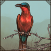 carminebeeeater.png