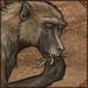 As these monkeys will eat almost anything, locust will be a perfect snack for the time being.