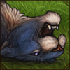 This lioness is head over heels for you! Quite literally, it seems.