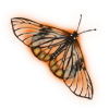 The wings of this butterfly are almost see-through! How lovely.