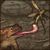 This large toad will be happy to help with pesky insects!