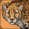 Curious Cheetah